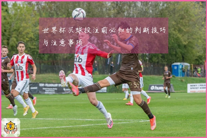 世界杯买球投注前必知的判断技巧与注意事项