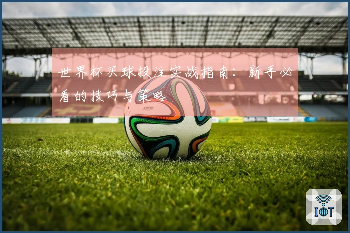 世界杯买球投注实战指南：新手必看的技巧与策略