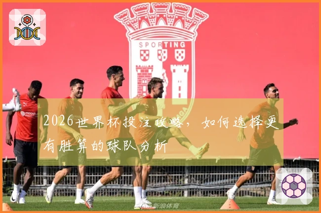 2026世界杯投注攻略，如何选择更有胜算的球队分析