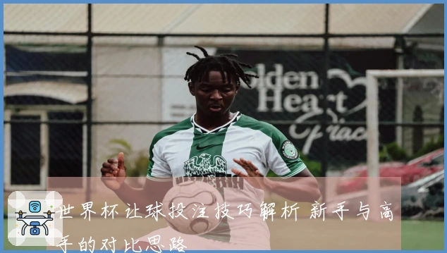 世界杯让球投注技巧解析 新手与高手的对比思路