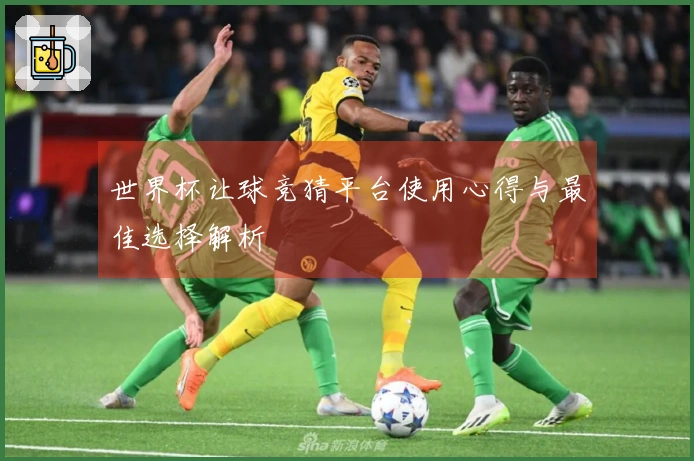 世界杯让球竞猜平台使用心得与最佳选择解析