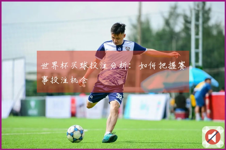 世界杯买球投注分析：如何把握赛事投注机会