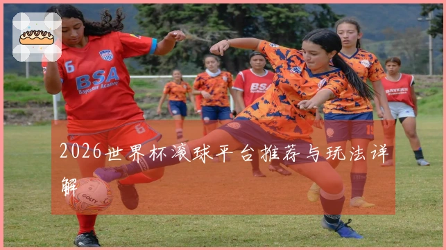 2026世界杯滚球平台推荐与玩法详解