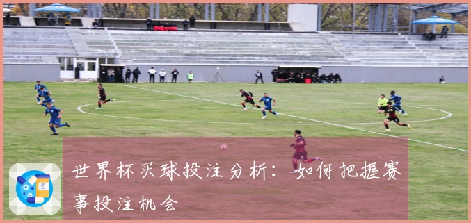 世界杯买球投注分析：如何把握赛事投注机会