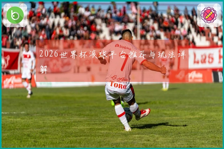 2026世界杯滚球平台推荐与玩法详解